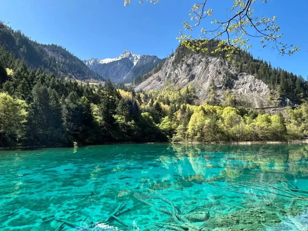 合同怎么签,川西旅游透明消费避坑指南