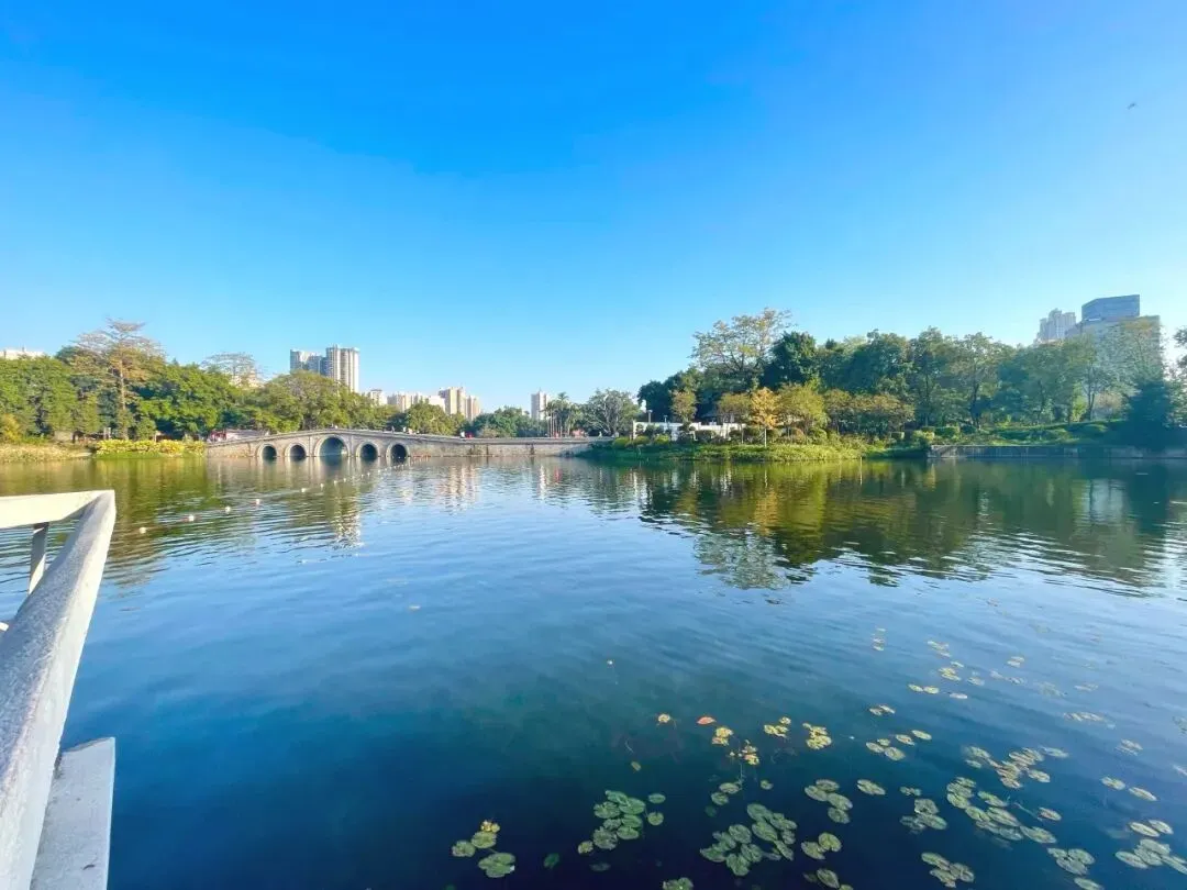 广州荔湾湖公园详细旅行攻略|荔湾湖有五美