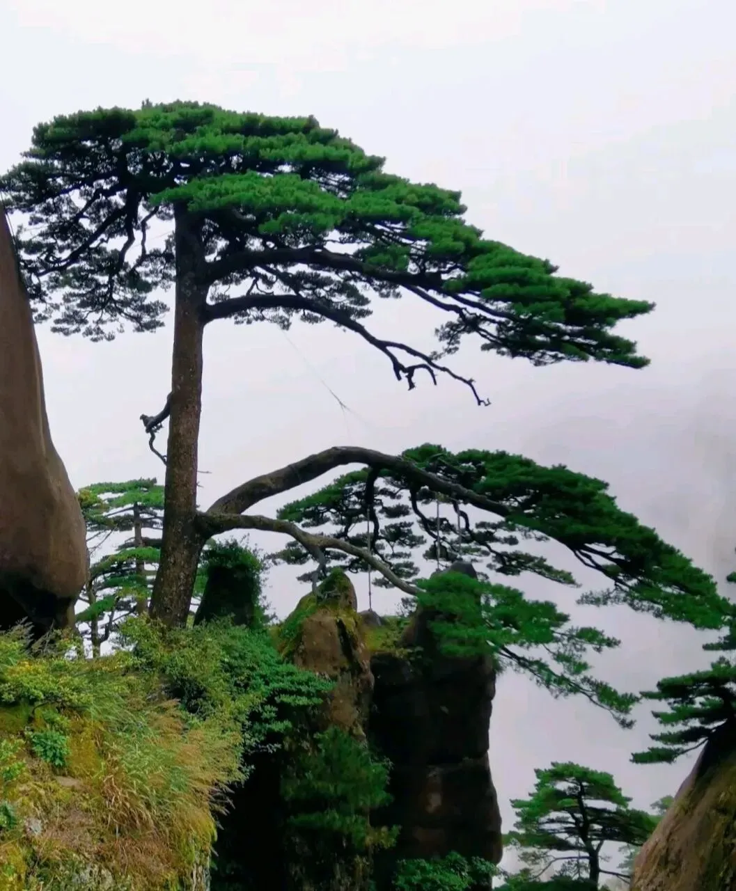 黄山保姆级旅游攻略