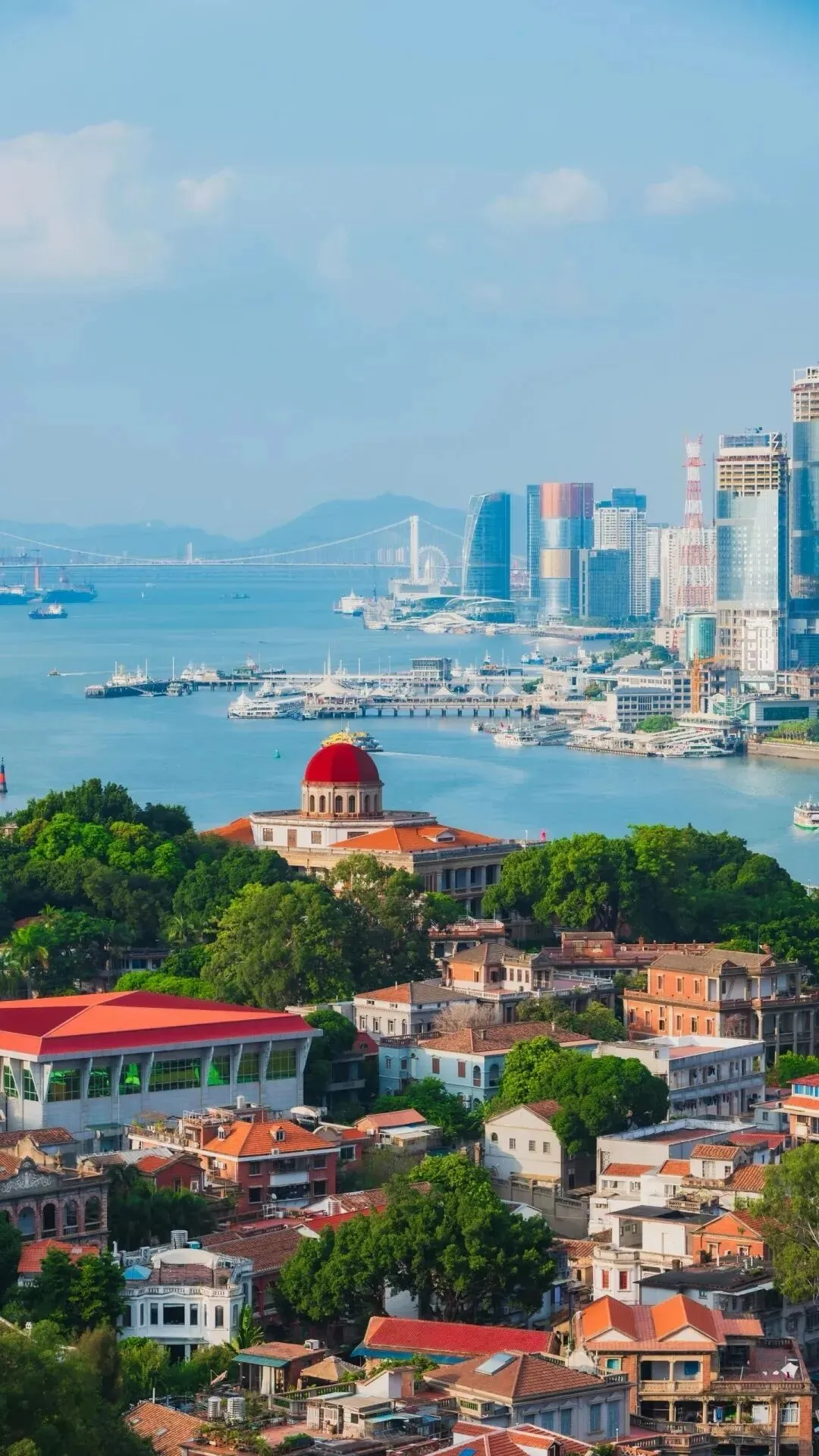 厦门不踩雷的旅游打卡地有哪些?告别走马观花,一份兼顾经典与小众的深度游玩指南