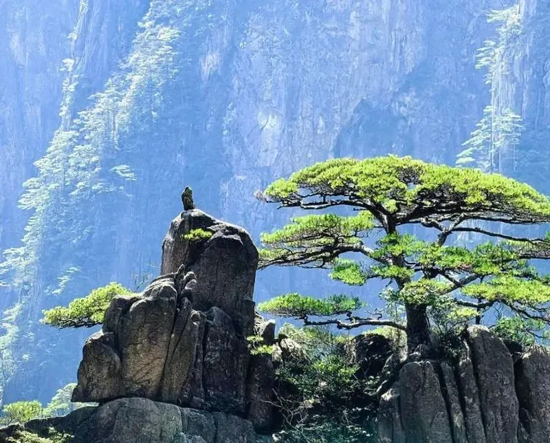 安徽黄山乡村旅游攻略