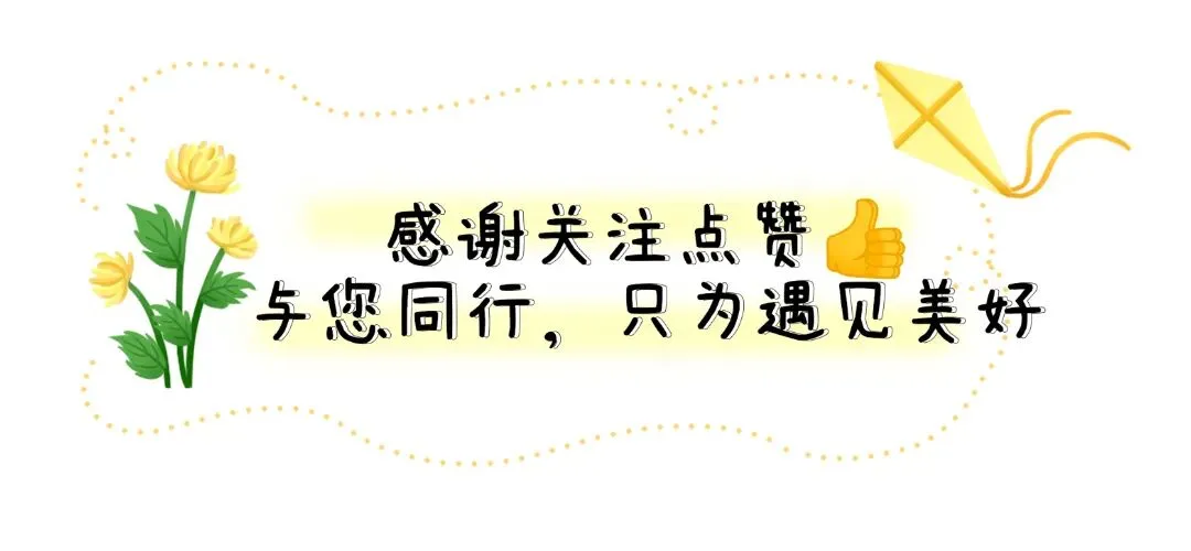 养育男孩:假期旅游如何合理规划,学习游玩两不耽误