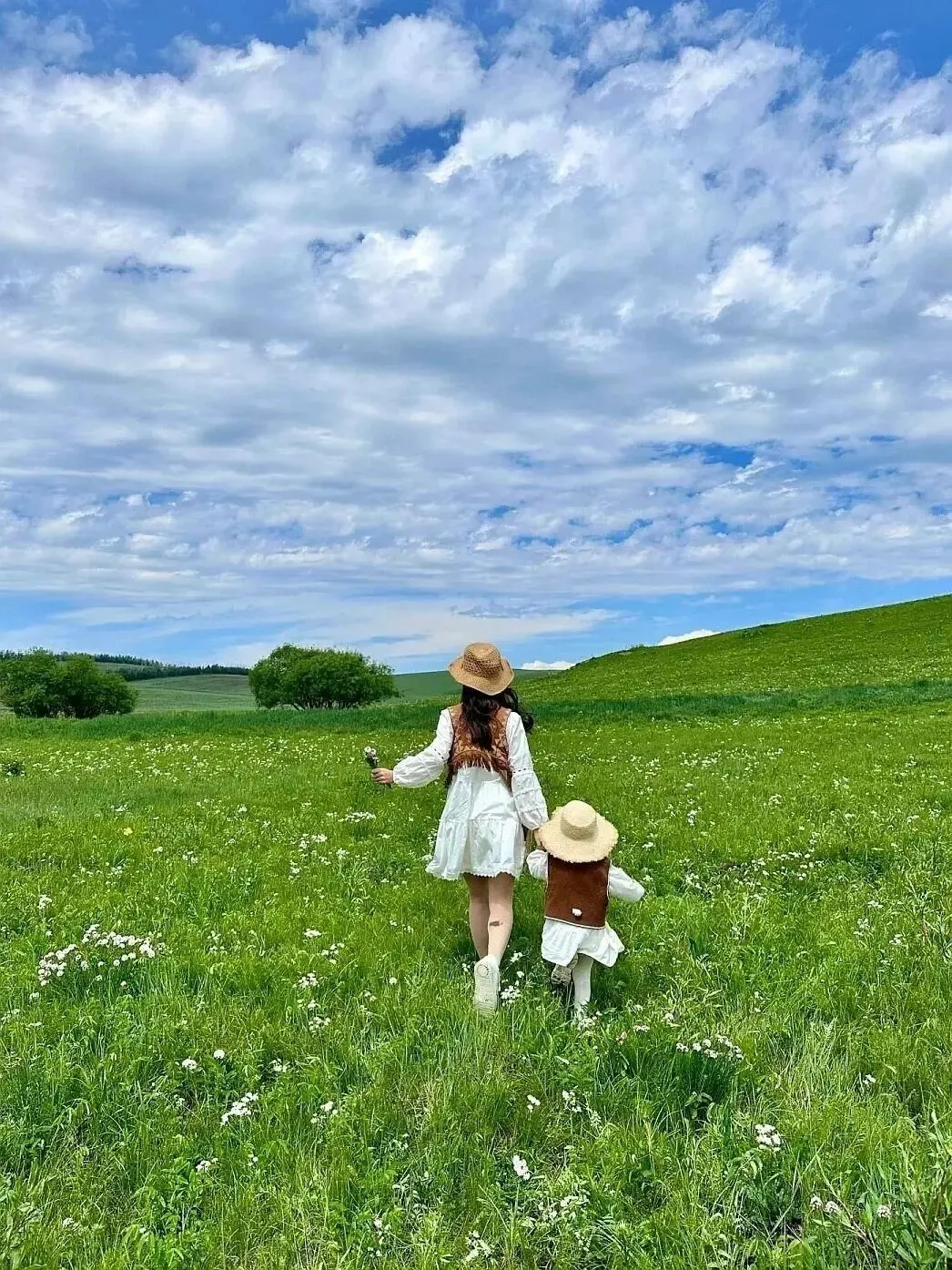 承德坝上草原旅游攻略|吃透景点、行程、避坑要点,轻松开启草原之旅