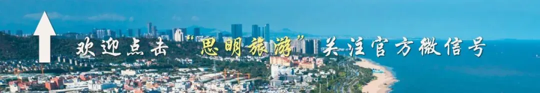 浪漫七夕・爱在思明|这份甜蜜游玩指南请收好→