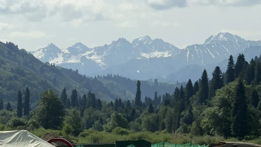 旅行攻略越做越多,我却不想动身了