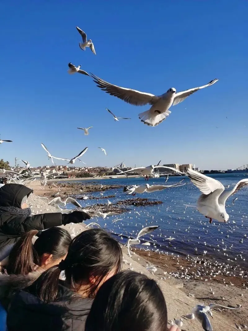青岛旅游攻略|红瓦绿树碧海蓝天,德式老建筑,沙滩啤酒海鲜|必去景点、交通吃住、行程一次讲清