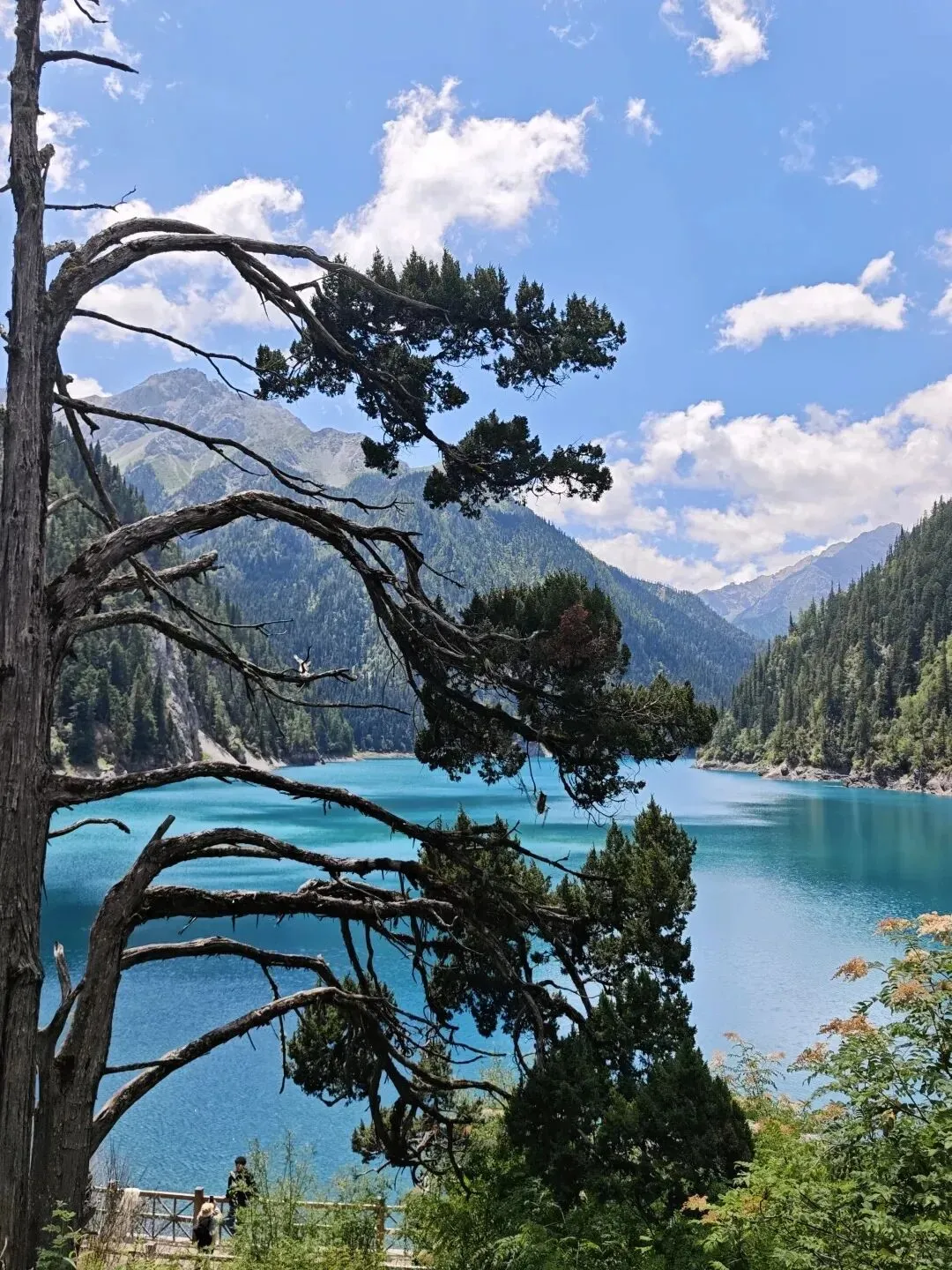 九寨沟夏季游玩攻略:纳可游国旅行程安排