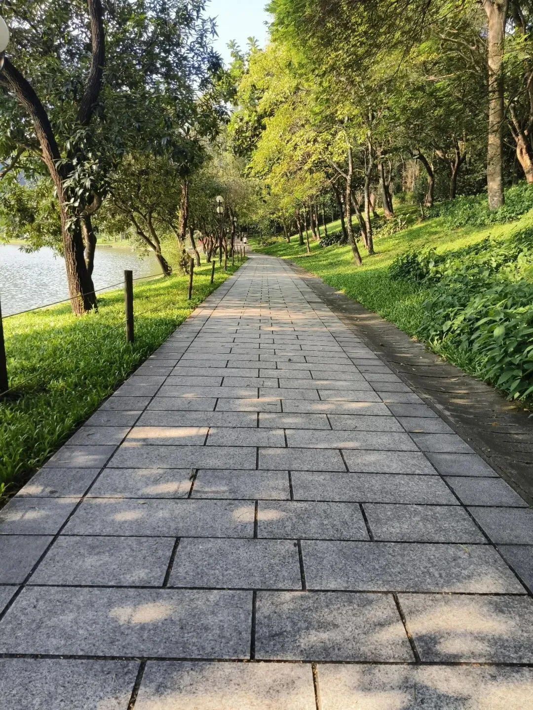 深圳旅游攻略(2026最新版):3天2晚怎么玩?大梅沙+深圳湾+世界之窗,一篇玩转鹏城