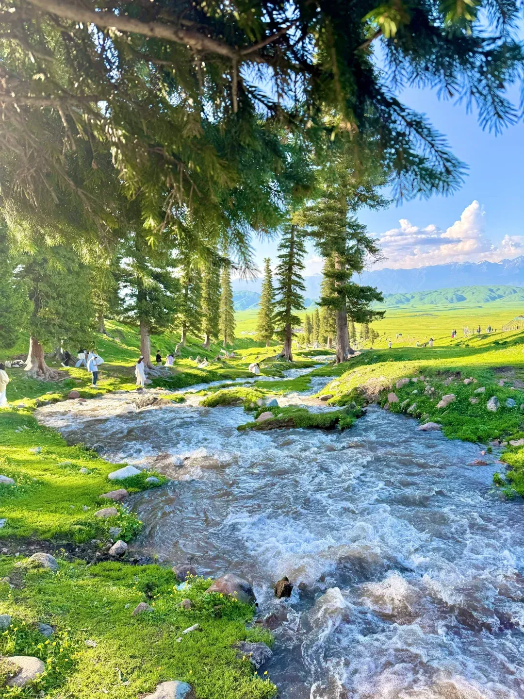 中国最适合7-8月旅行的8个地方,不用做攻略,累了就挑一个出发!