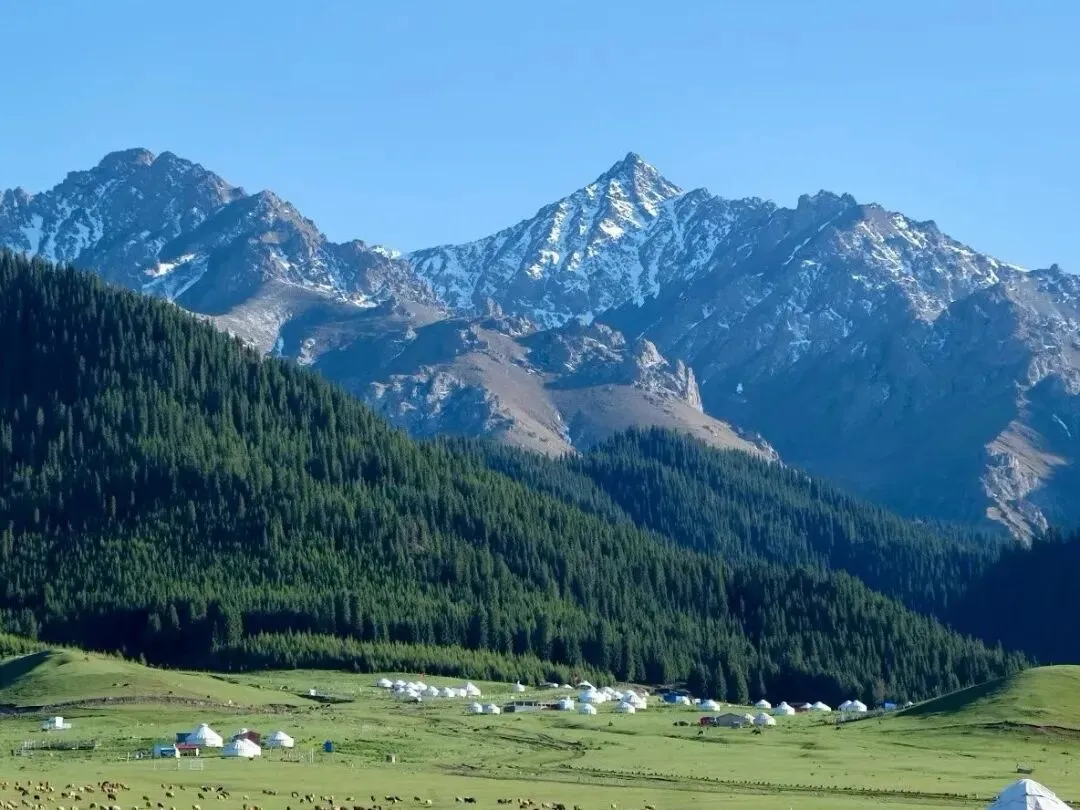 新疆旅行全攻略:从美食到风景,一篇就够了