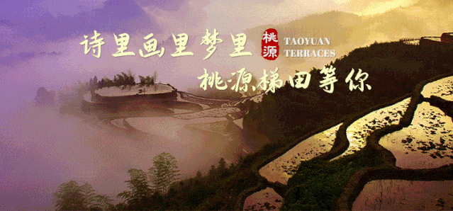 游玩指南 | 还不知道桃源梯田怎么玩?桃源梯田游玩攻略向你奔来~快接住!