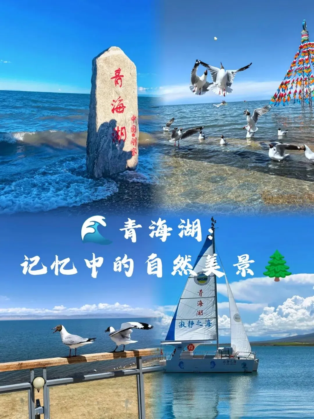 青海湖旅游攻略,这份干货让你少走一半弯路