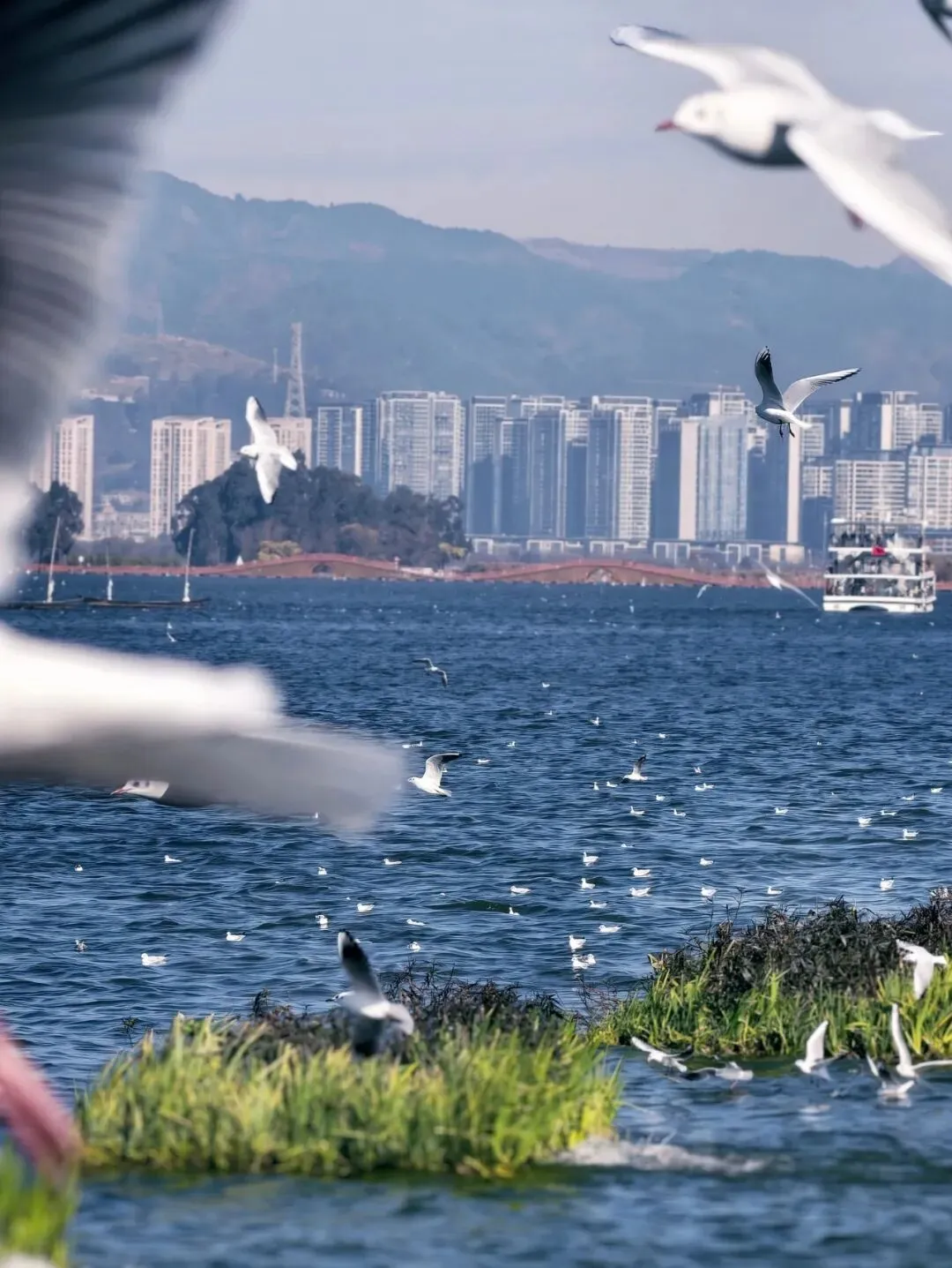 昆明旅游攻略|3-4天玩法全整理,踩雷点提前帮你避开