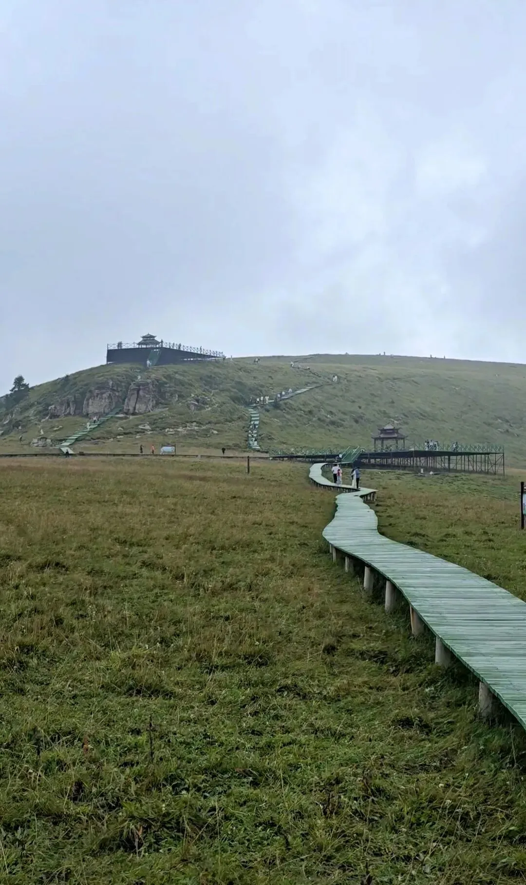 山西荷叶坪免费游玩攻略,车直接开到山顶,不用爬山