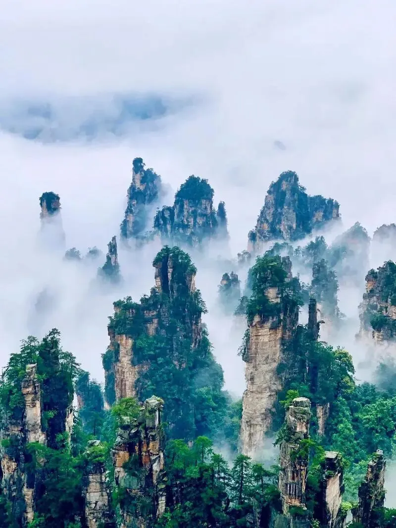 张家界 旅游攻略|奇幻喀斯特峰林,奇峰峡谷,山水奇观震撼,阿凡达取景地 |必去景点、交通吃住、行程一次讲清