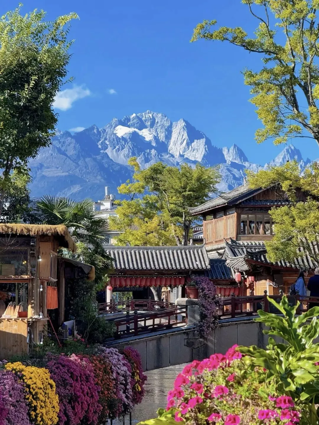 【云南】10日全景旅行攻略|邂逅滇西北极致浪漫!!