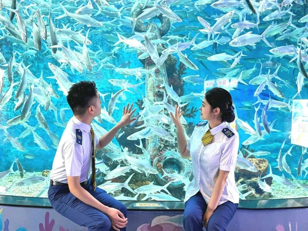游玩攻略 | 秋日出游,地铁+公交赴一段浪漫之约!