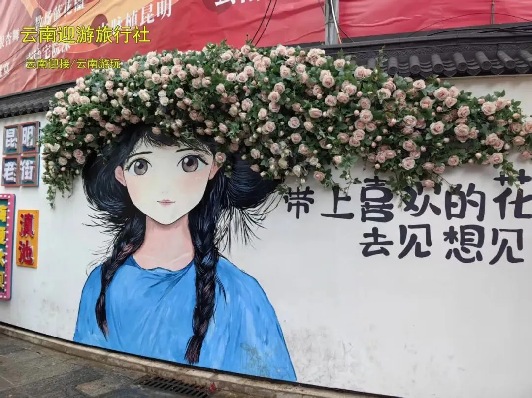 昆明旅游攻略参考(一)