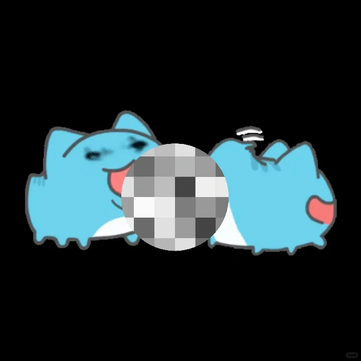 快发给npy！