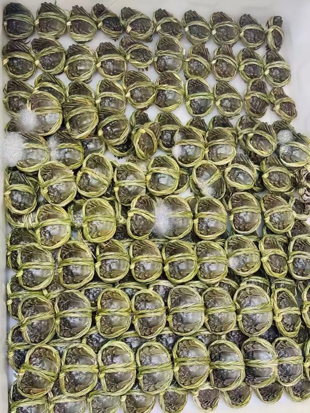 兴化大闸蟹火热预售中