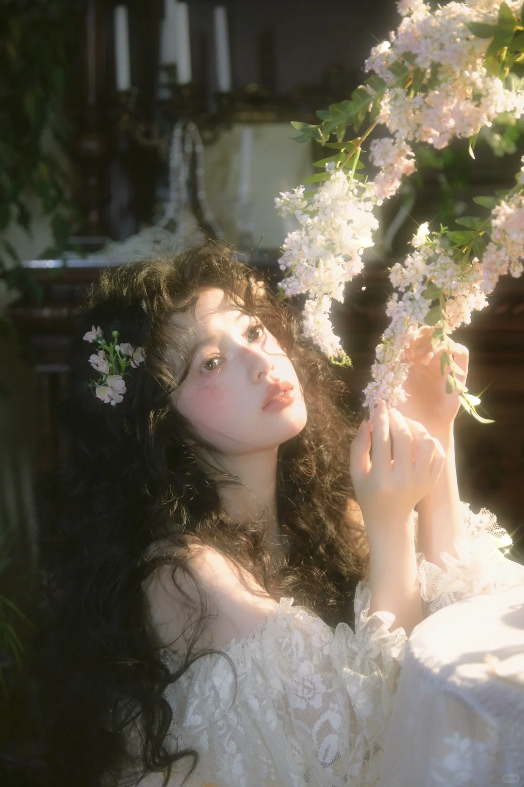 ⁺₊𝓑𝓾𝓽𝓽𝓮𝓻𝓯𝓵𝔂 𝓓𝓪𝔂𝓭𝓻𝓮𝓪𝓶★🦋