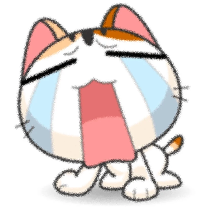 吉吉猫