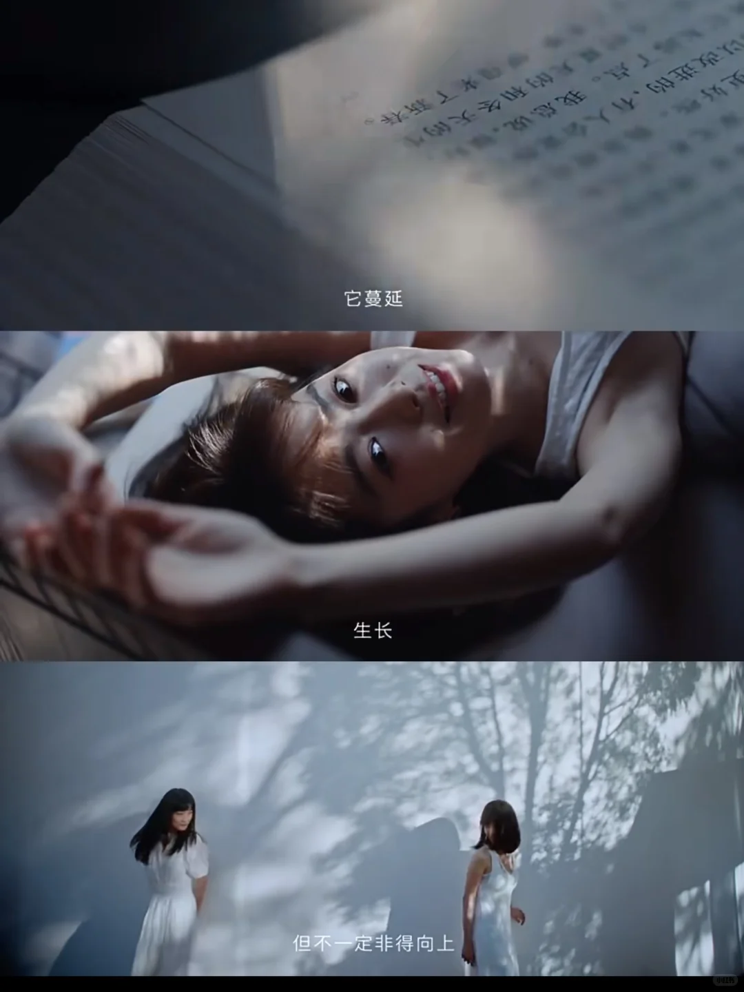 每日文案丨文字不负温柔时光