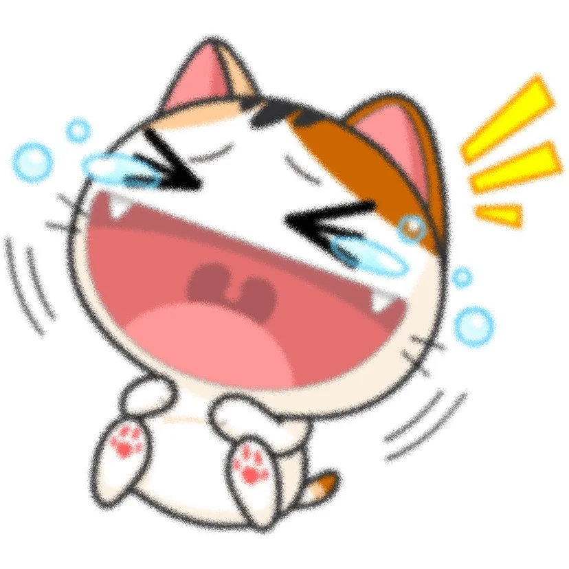 吉吉猫