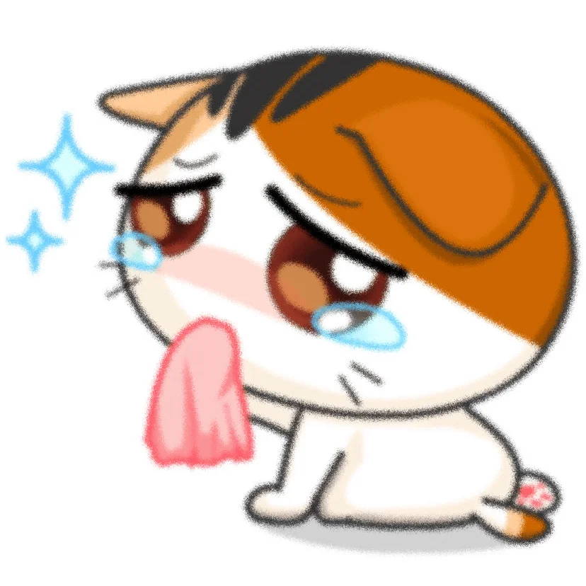 吉吉猫