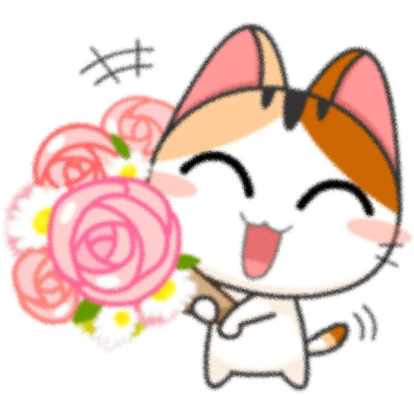 吉吉猫