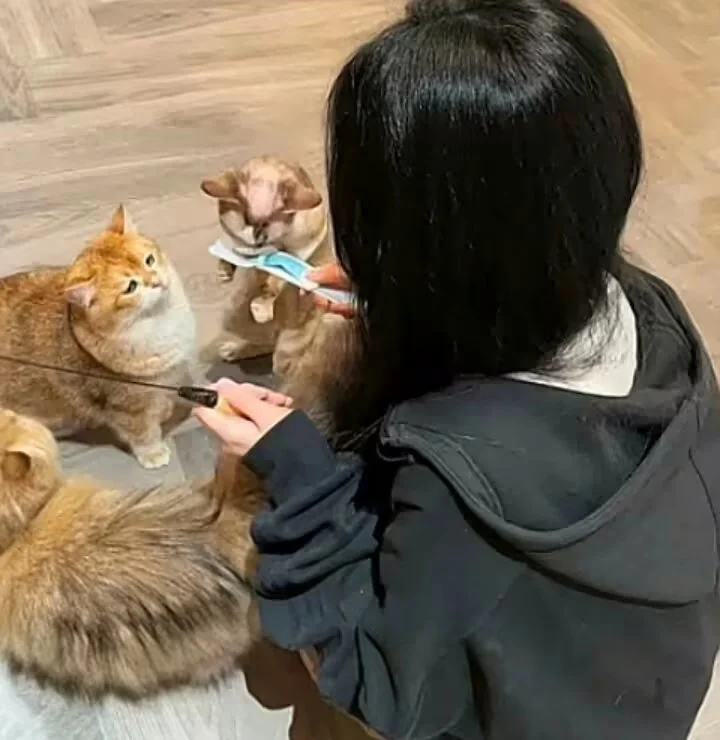 小众复古港风头像