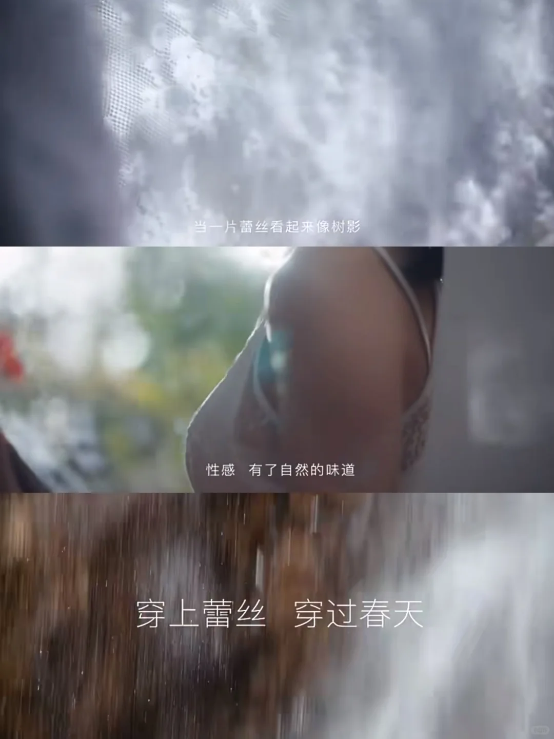 每日文案丨文字不负温柔时光
