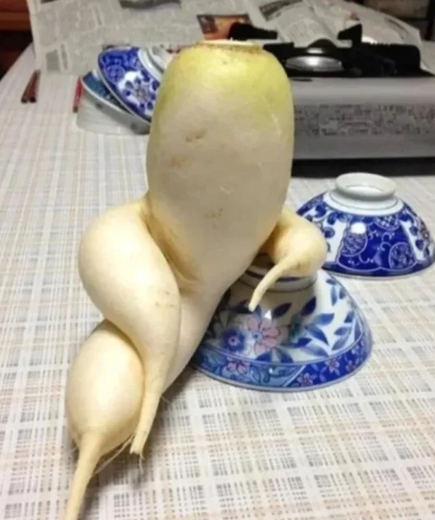 你见过这么妖娆的萝卜吗？