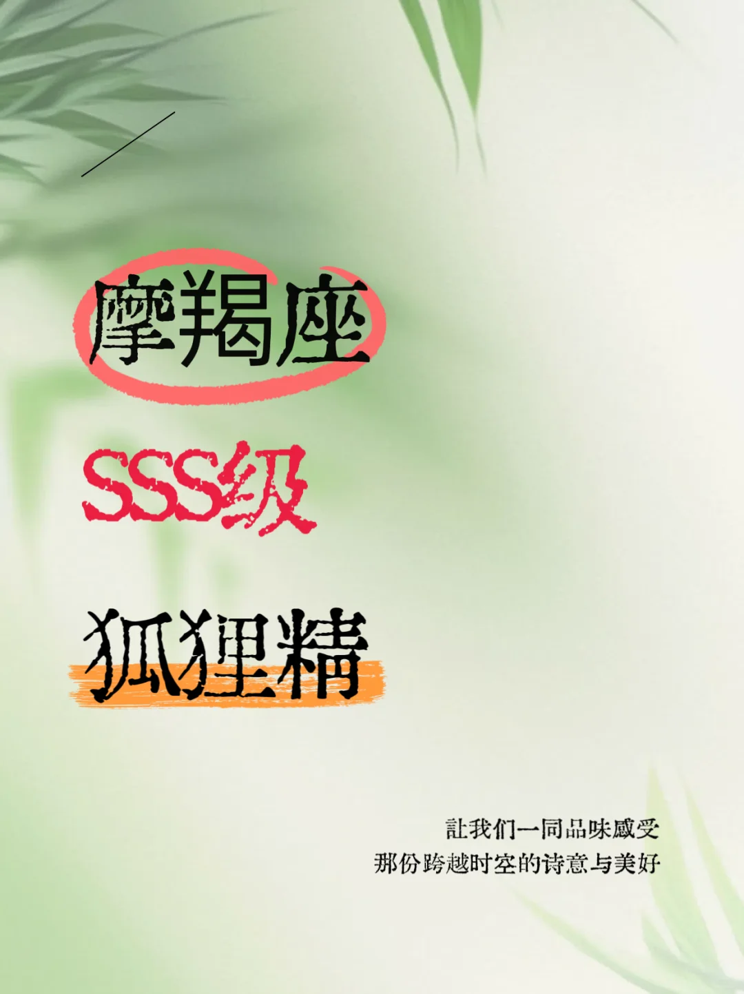 顶级狐狸精摩羯座:以柔克刚的情感魔术师