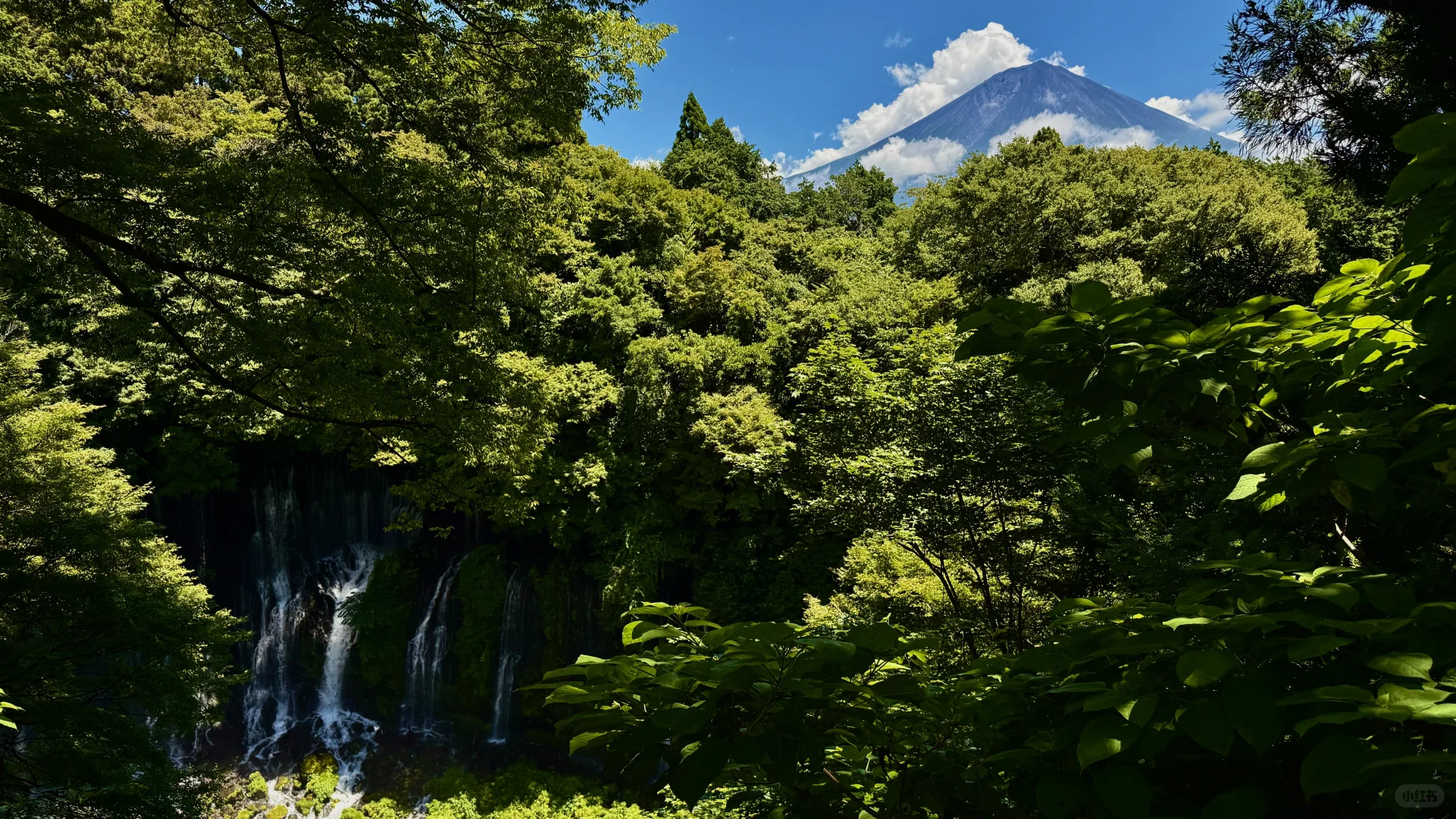 静冈「白丝瀑布」｜富士山+绝美瀑布同框