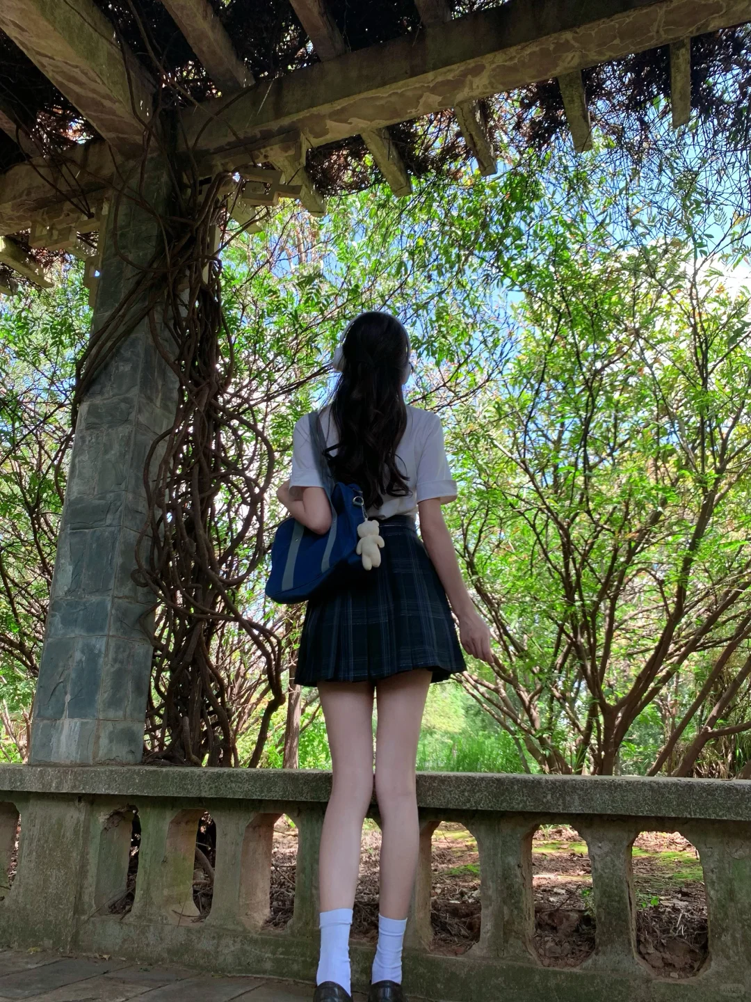 实况live/ 绿意.