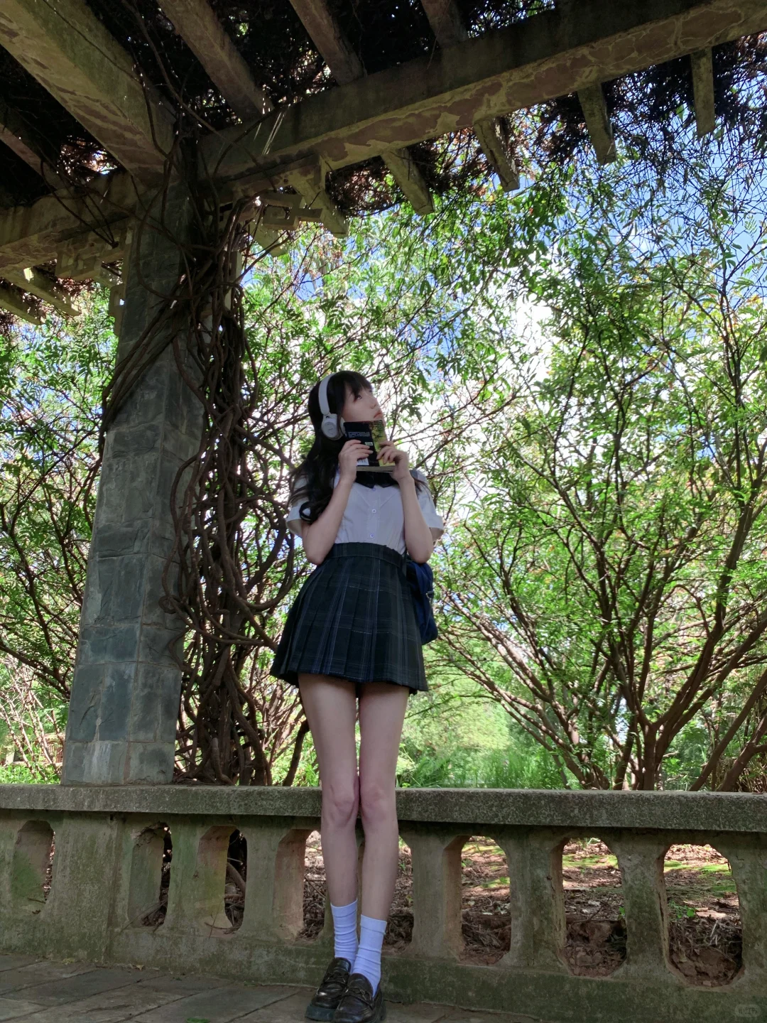 实况live/ 绿意.