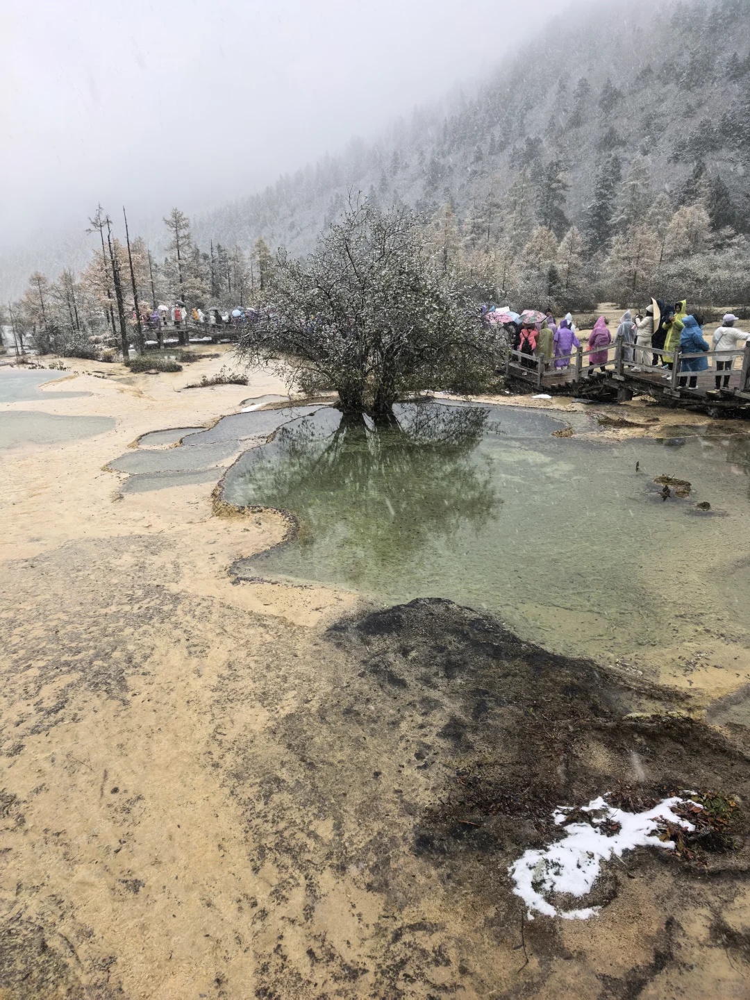 黄龙九寨D2