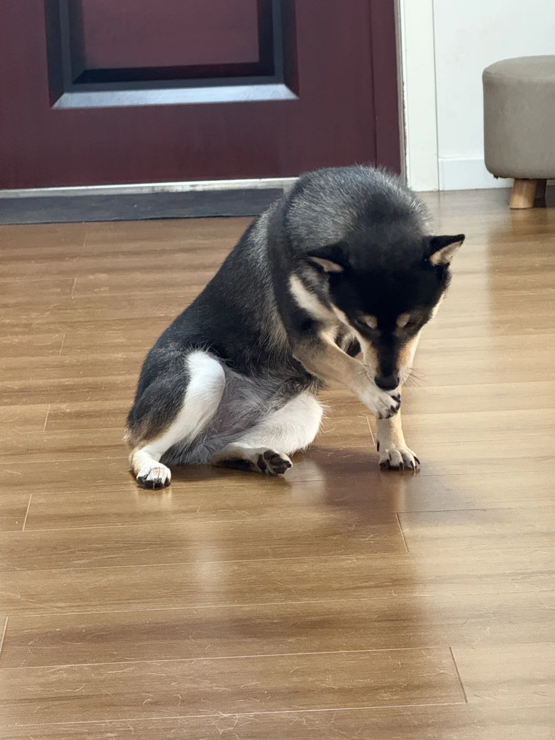 吃脚大仙