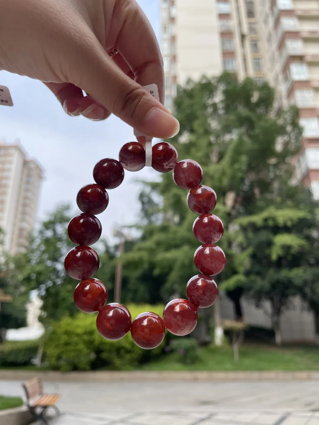 自然光下拍摄，还原它的本色