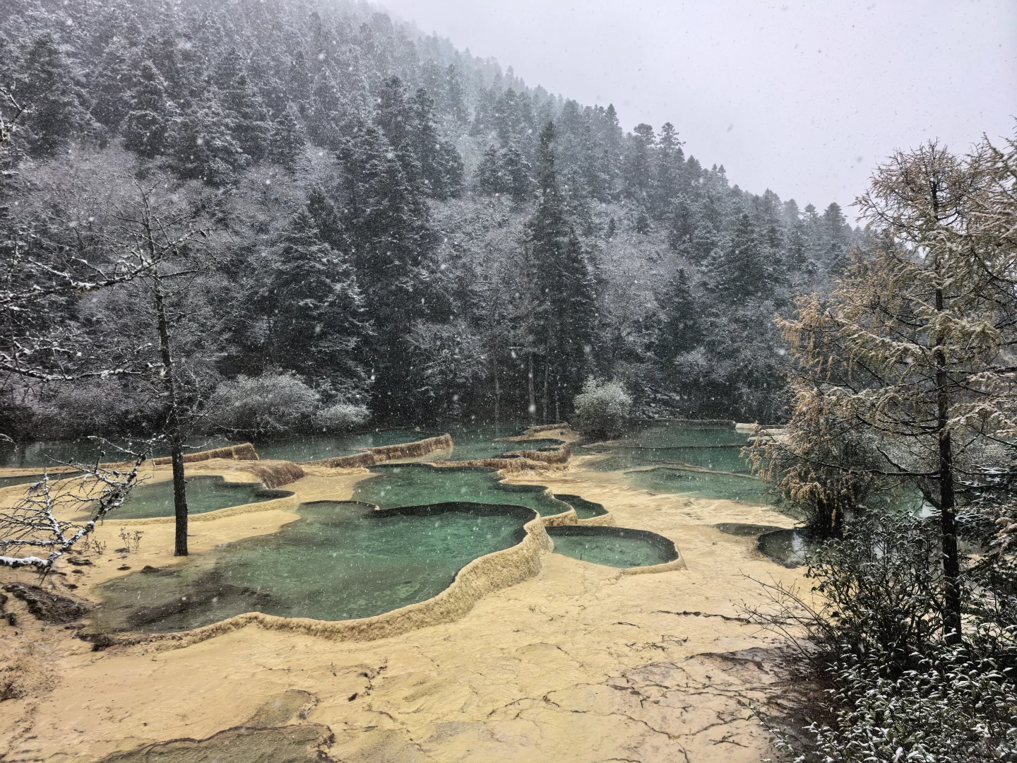 黄龙九寨D2