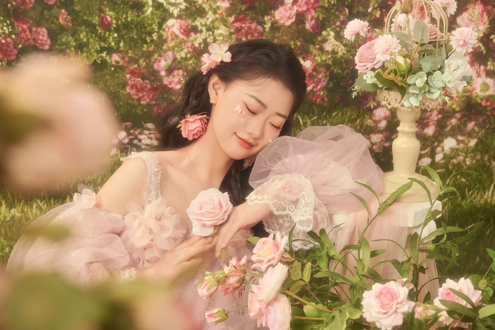粉色娇嫩，你如今几岁｜今天27啦