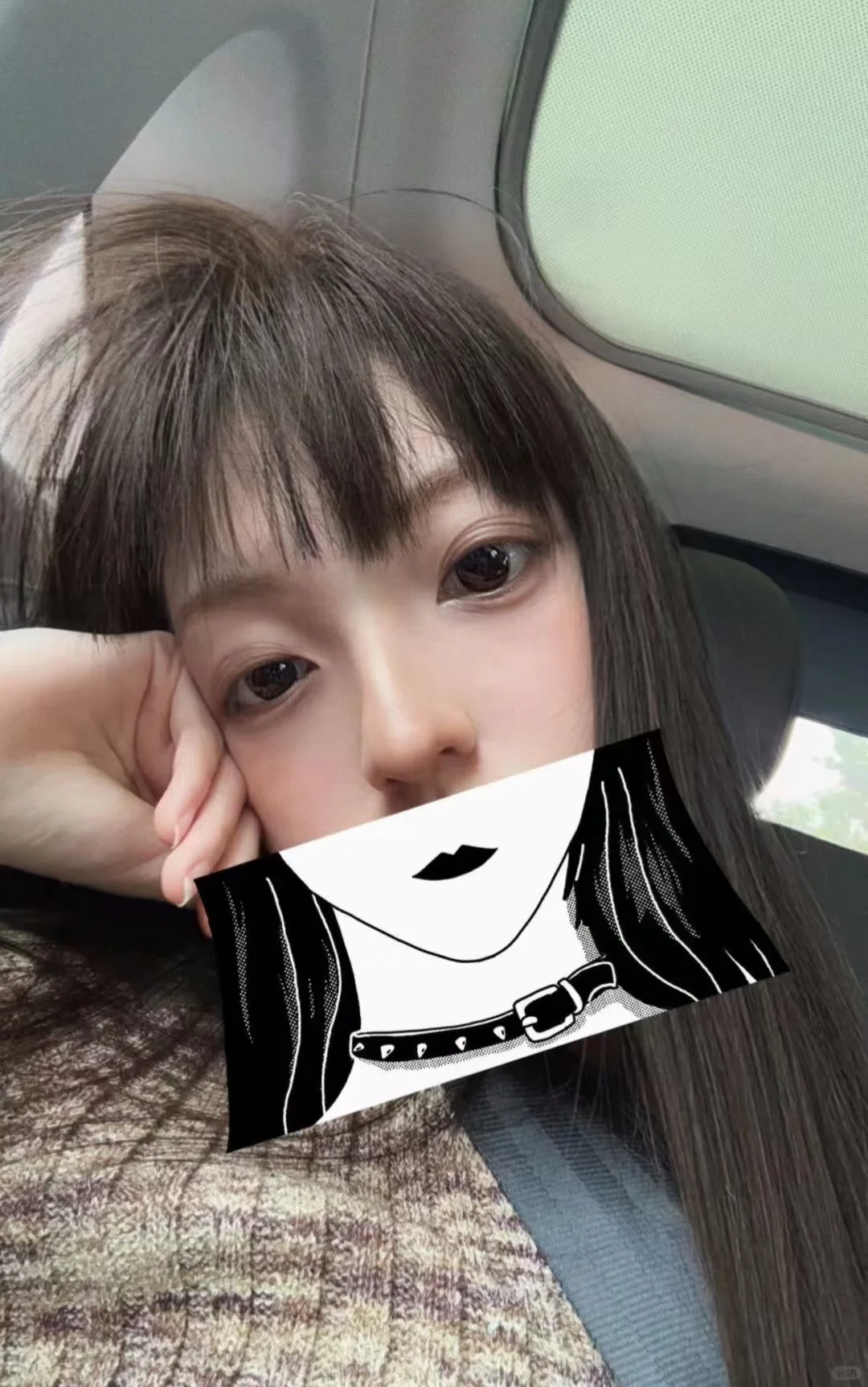 一次看個夠👀