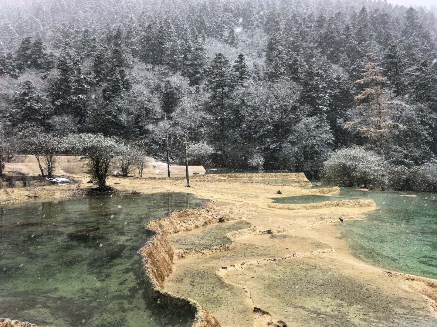 黄龙九寨D2