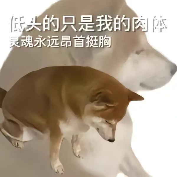 穿裙子骑小电驴一定要注意！！！