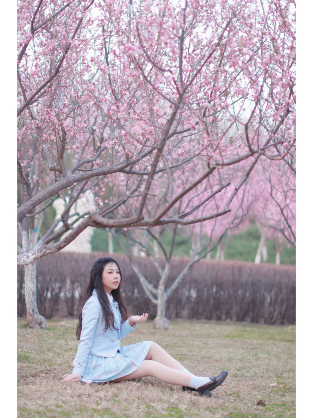 春日限定女主角 赴来自春天的约会！！