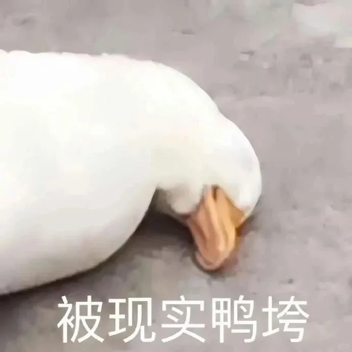很难拒绝这种沙雕表情包