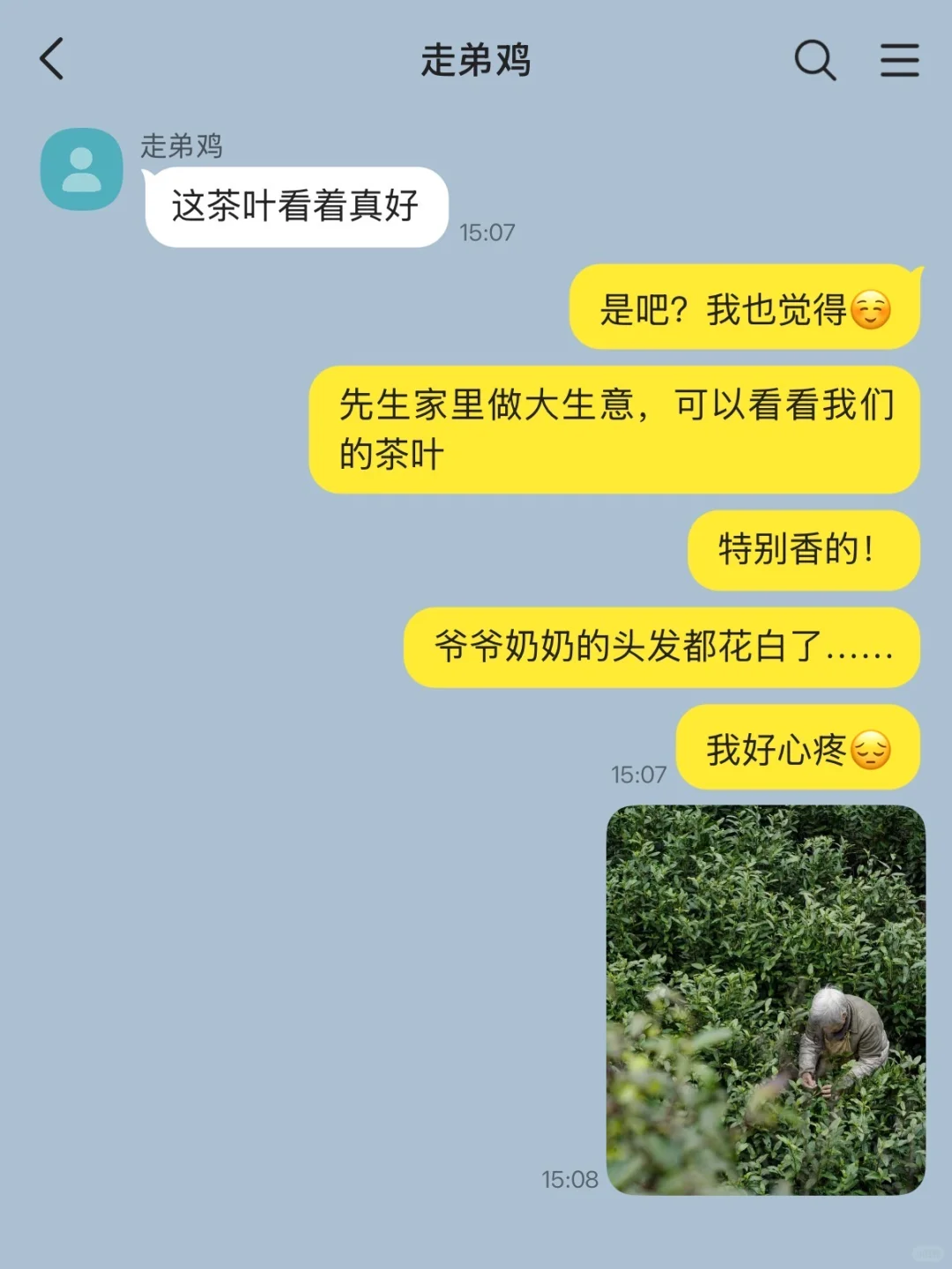 茶叶女X走弟鸡（1）