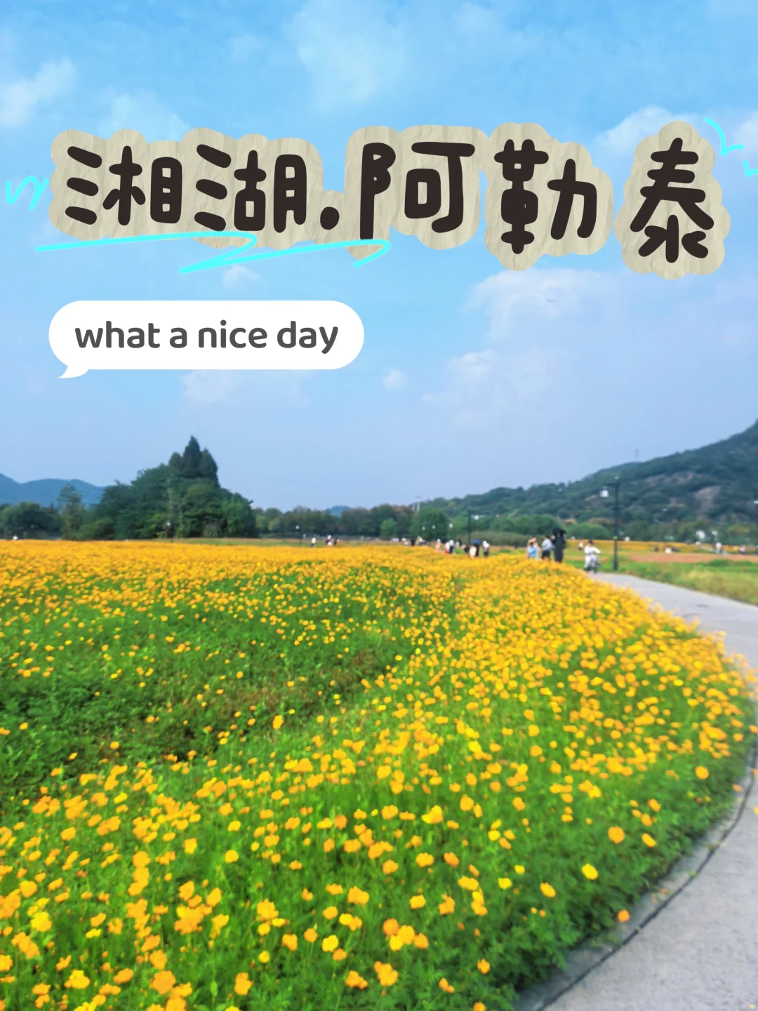 杭州人有自己的「阿勒泰」