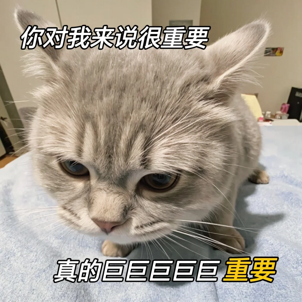 情侣聊天专用可爱小猫表情包
